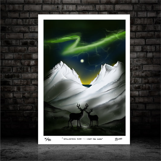 STILLHETENS RIKE - I LYSER FRA NORD