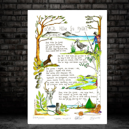 SKAL HILSE FRA FJELLET